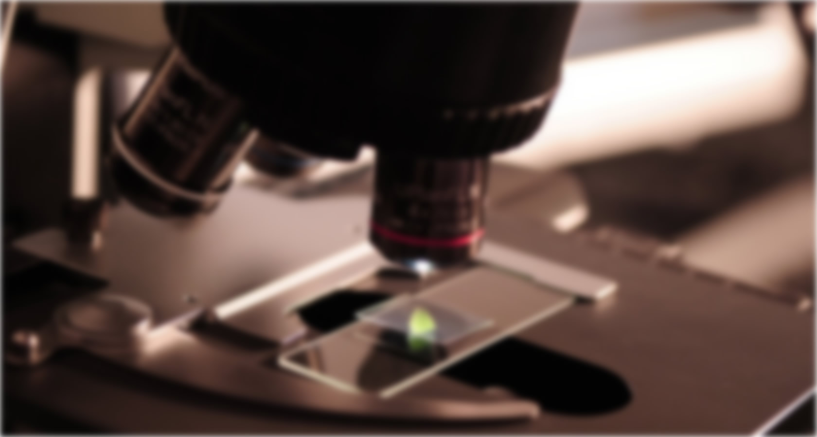 您需要分析的項(xiàng)目