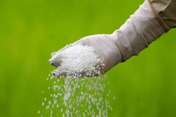 農(nóng)用產(chǎn)品分析檢測化驗(yàn)